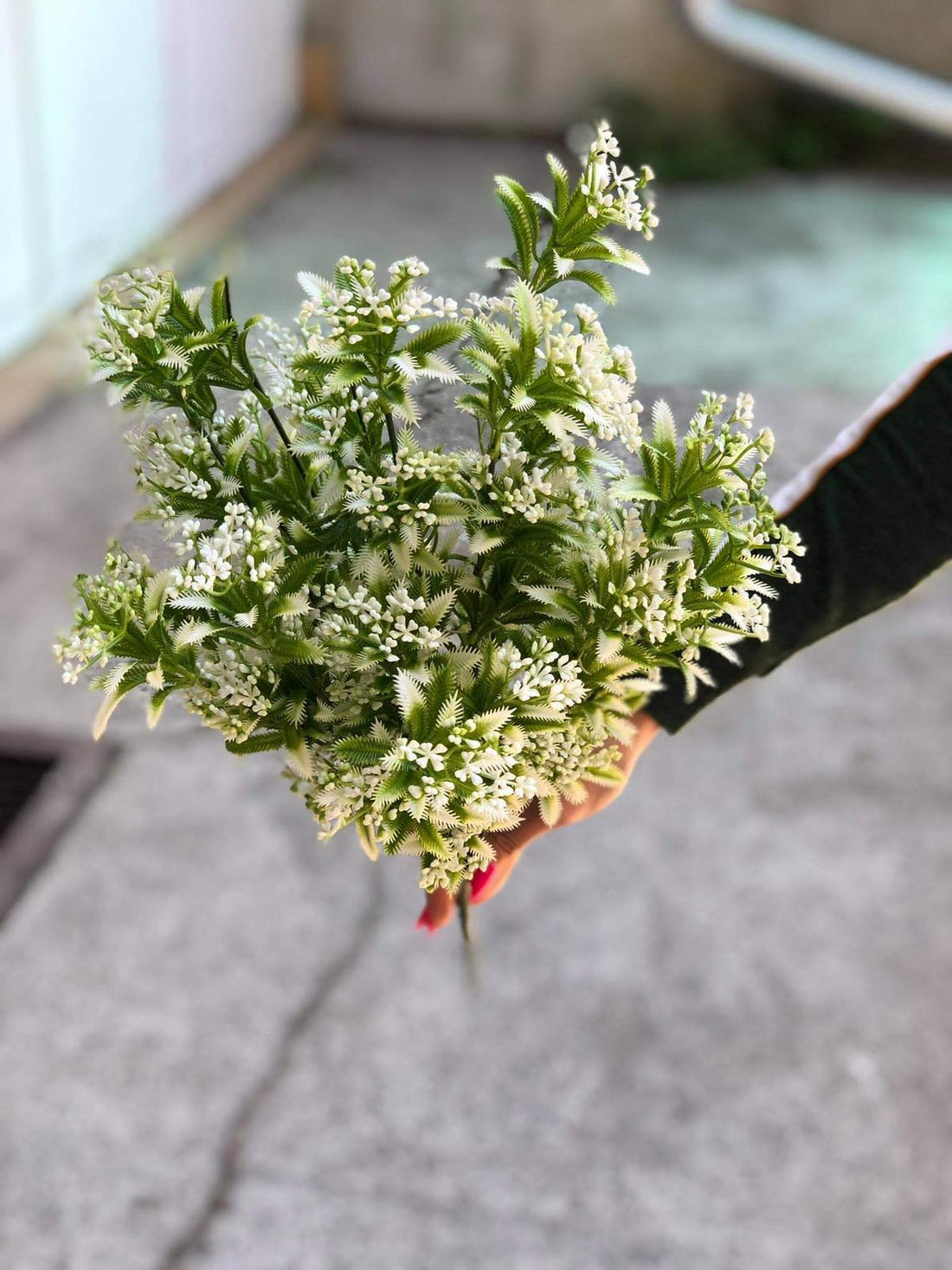 Зеленина с остър връх