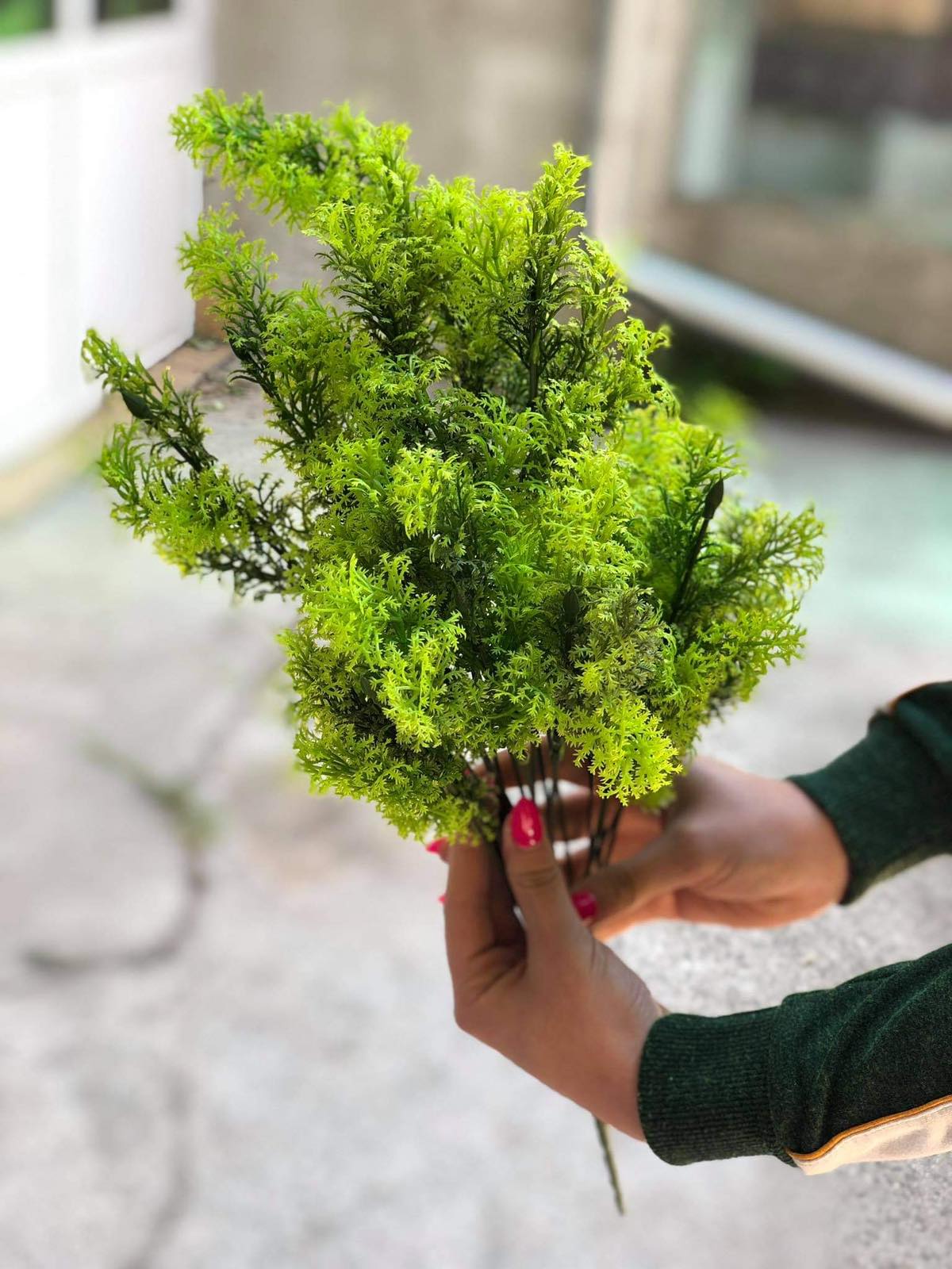 Зеленина мъх