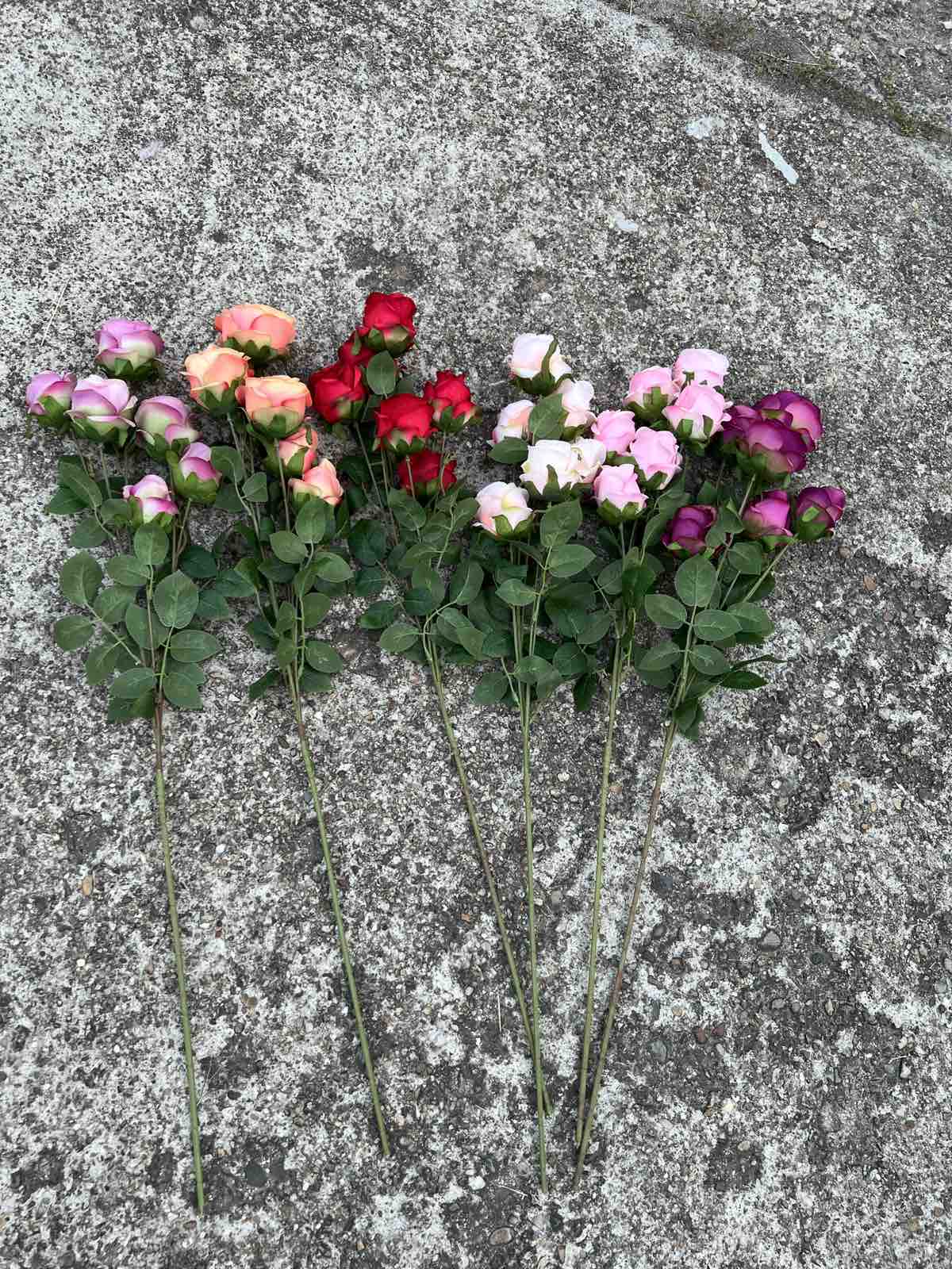 Роза 6 глави пепел