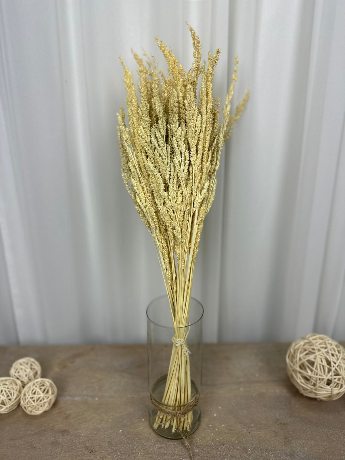 Суха трева клас бяло