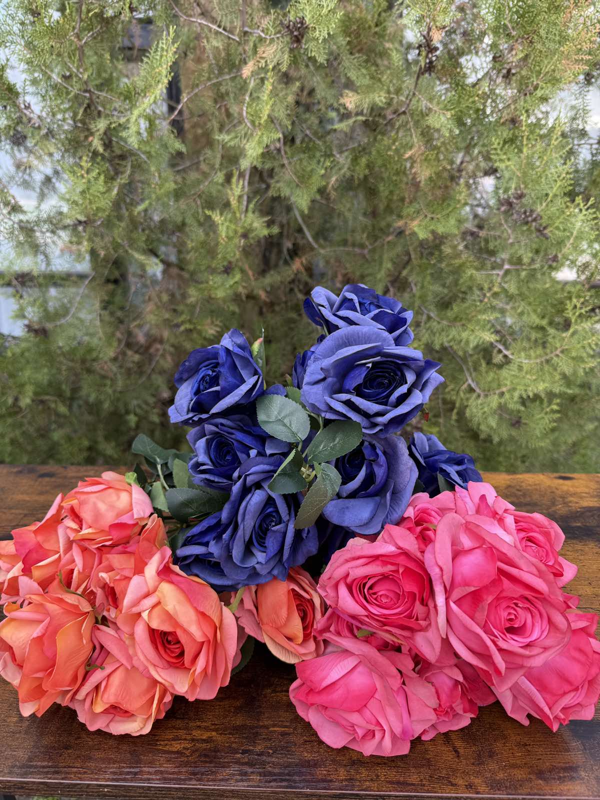 Отворена роза 10 глави