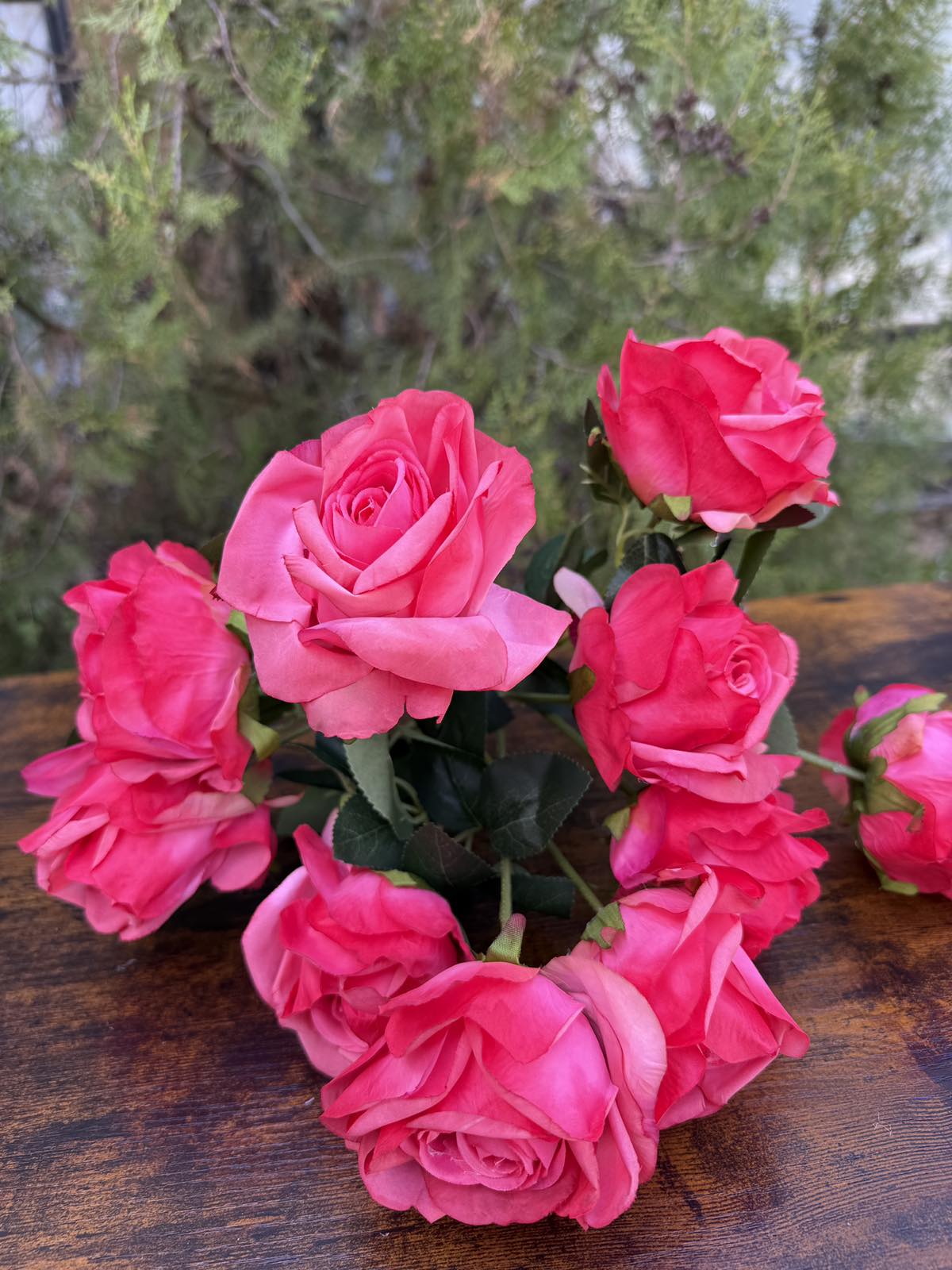 Отворена роза 10 глави