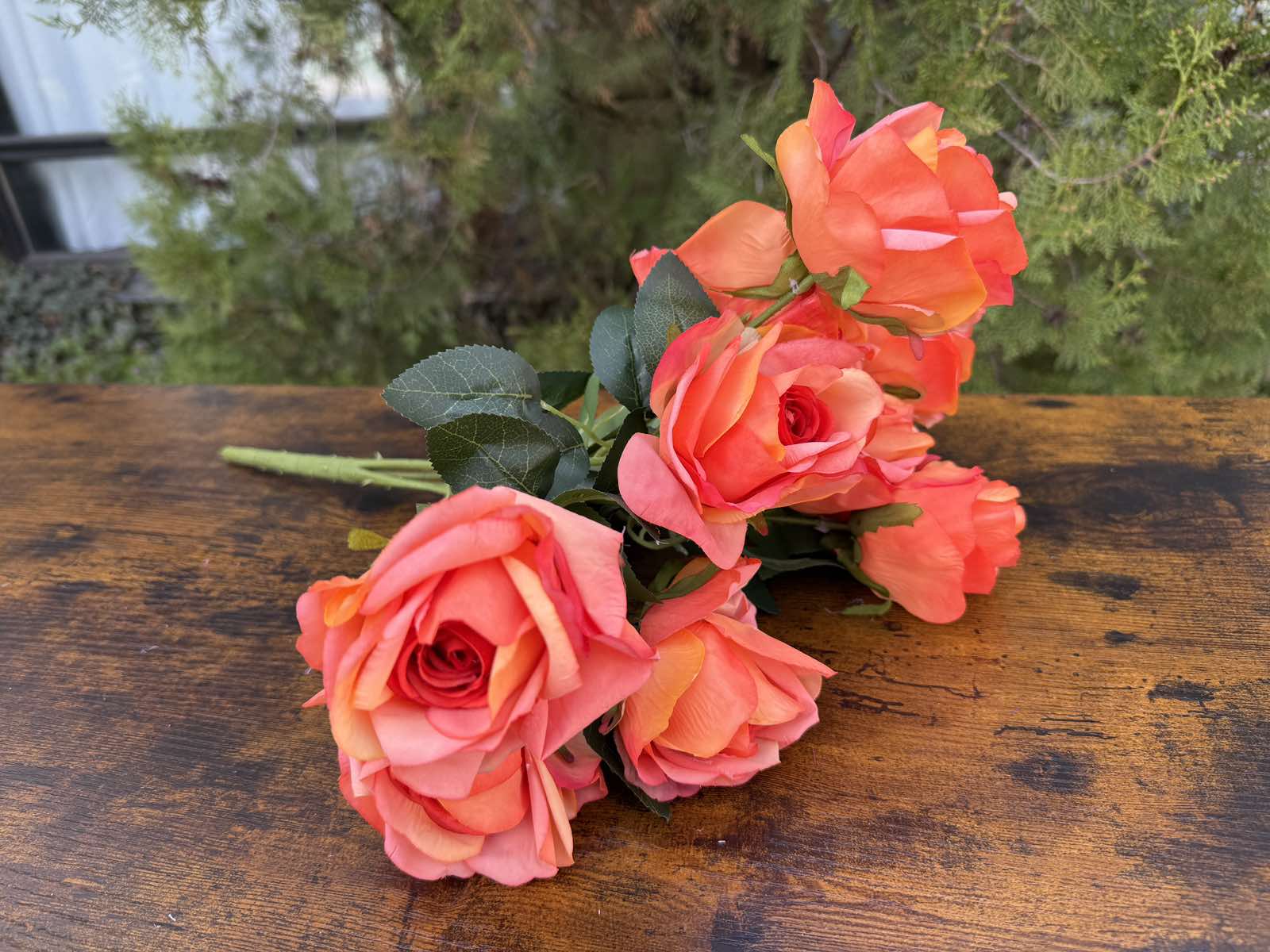 Отворена роза 10 глави