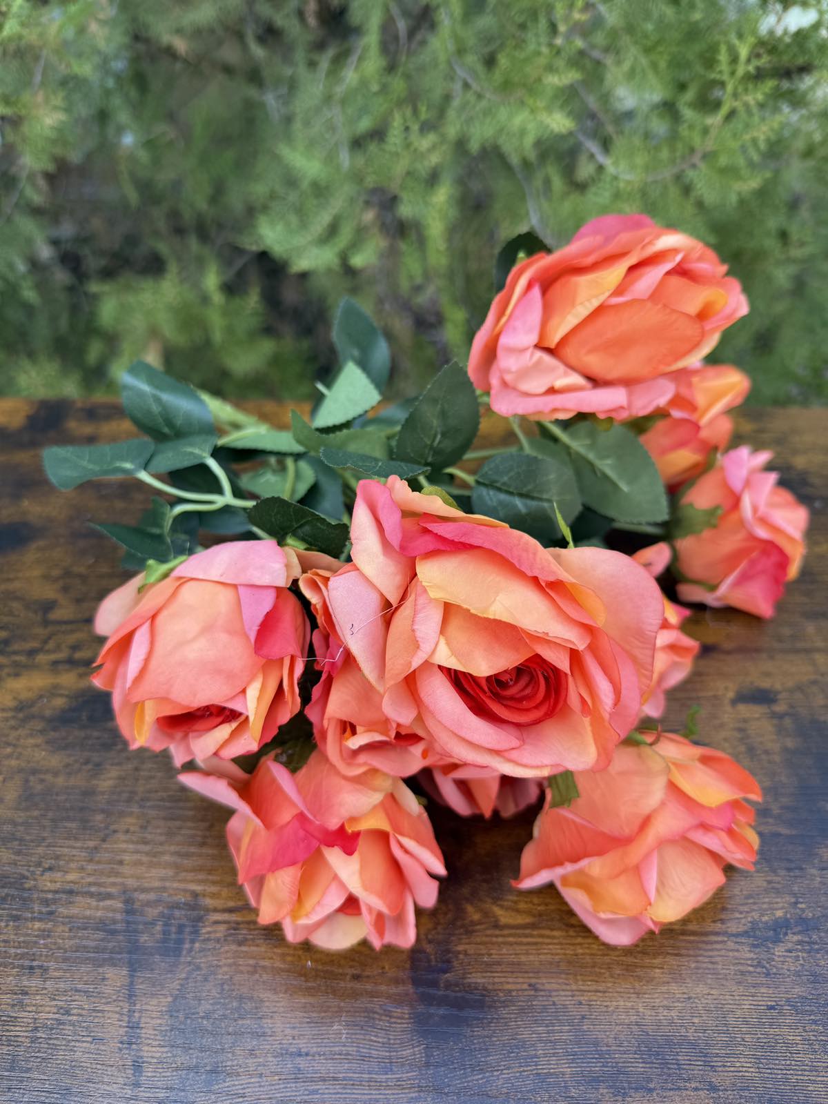 Отворена роза 10 глави