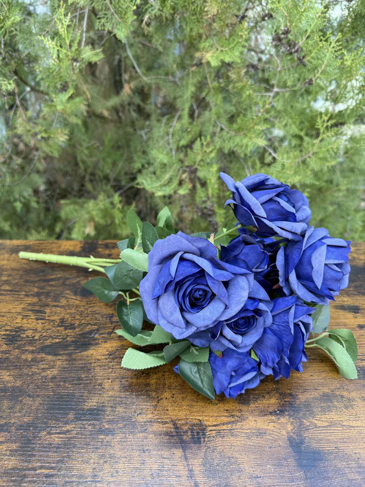 Отворена роза 10 глави